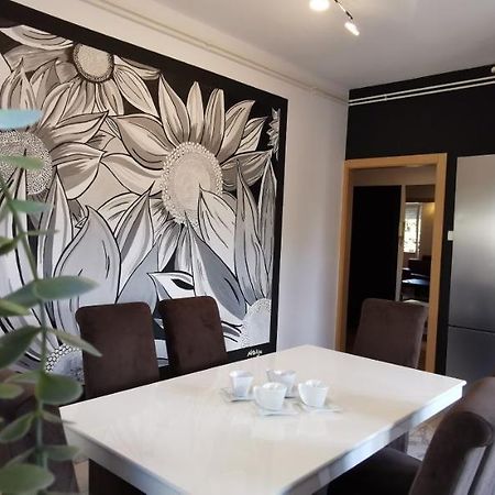 וואראז'דין Apartman Wolf מראה חיצוני תמונה