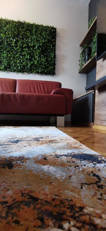 וואראז'דין Apartman Wolf מראה חיצוני תמונה